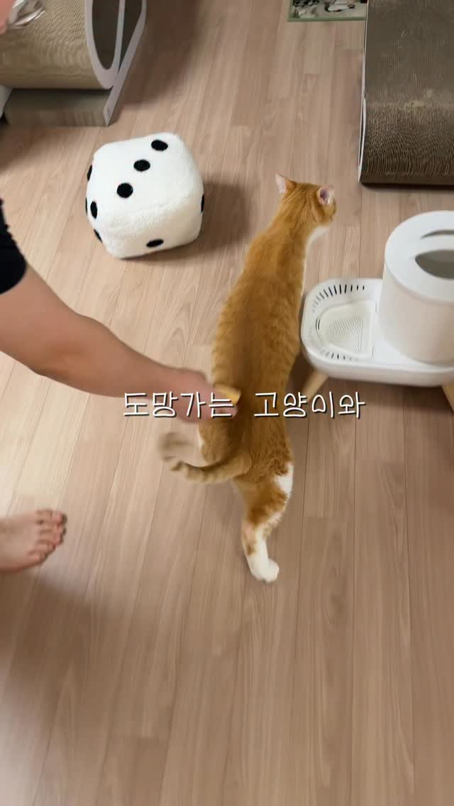 @im_taepungs 인스타그램 후기