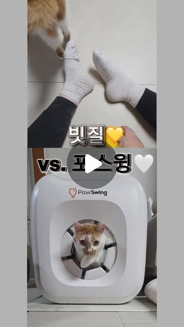 @cheese_nunnu.nanna 인스타그램 후기