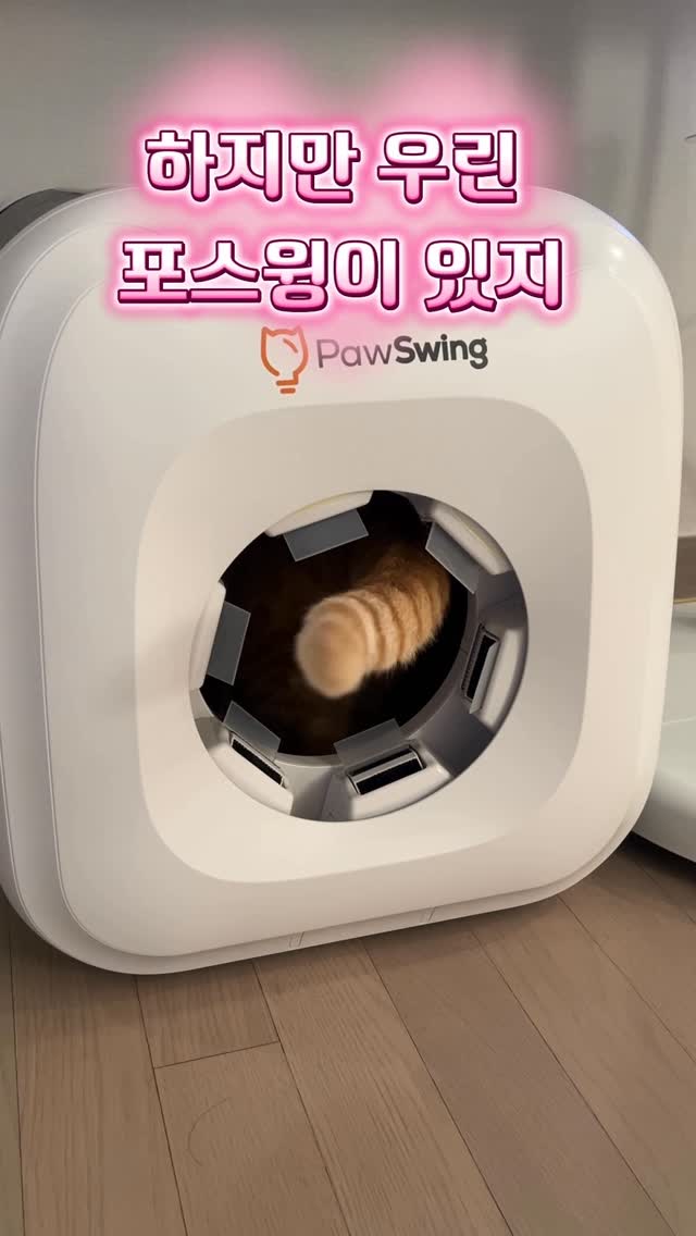 @cat_mayo_nez 인스타그램 후기