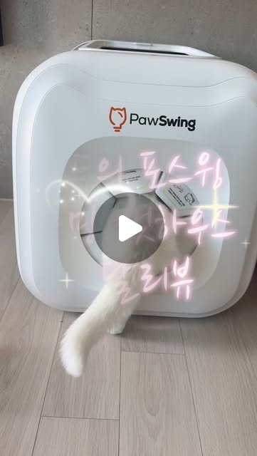 @1004kitten 인스타그램 후기