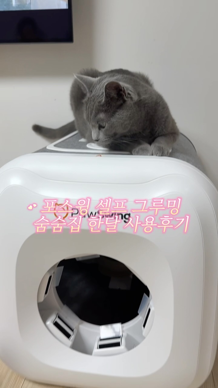 @kkang_deokbae 인스타그램 후기