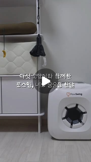 @r_r5_om 인스타그램 후기