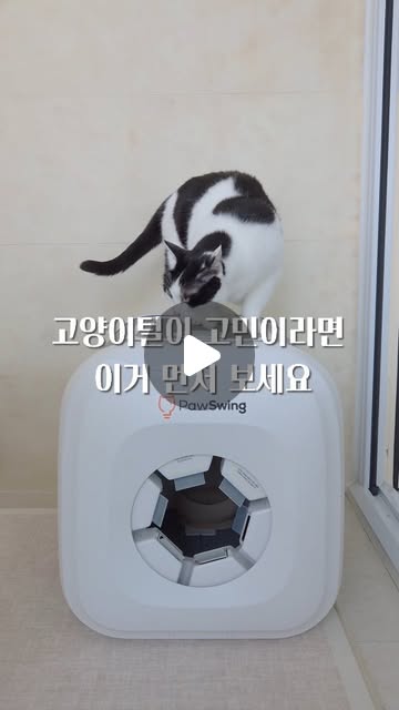 @lovelytime5 인스타그램 후기
