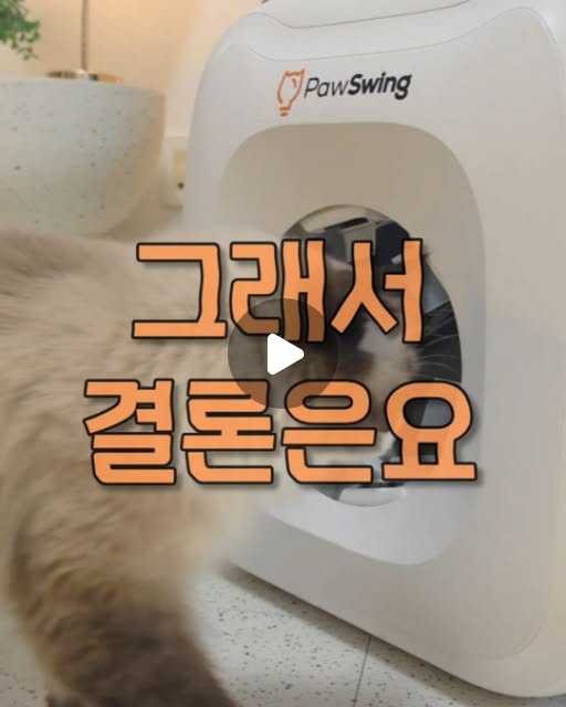 @bbambbamz 인스타그램 후기