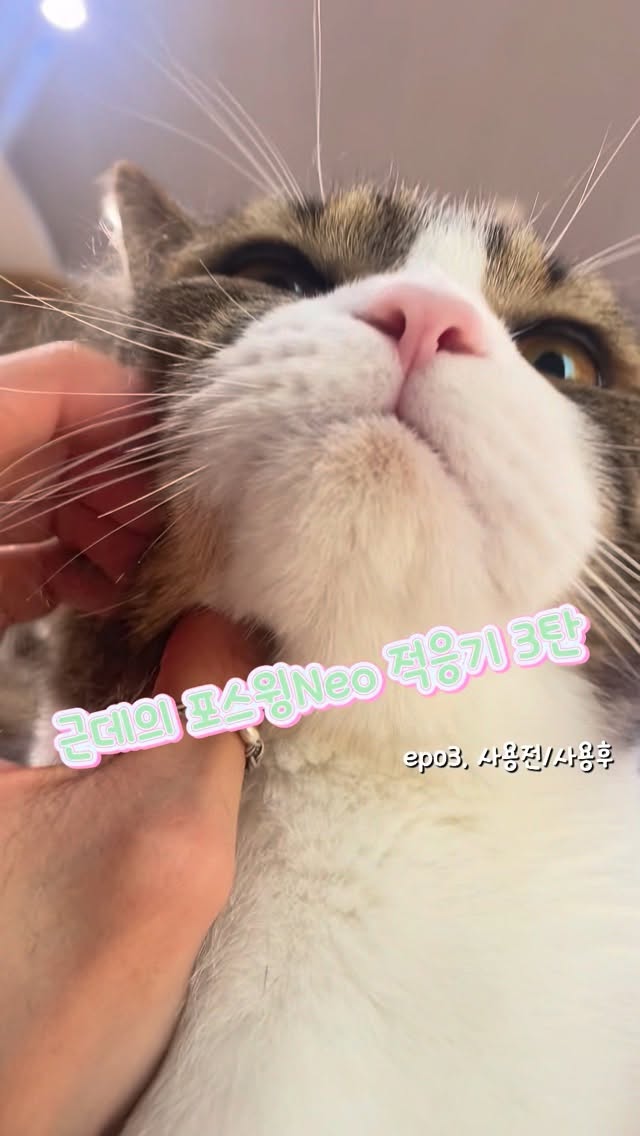 @ani_m_geunde 인스타그램 후기