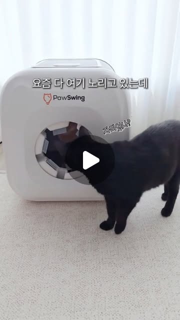 @nami_lll 인스타그램 후기