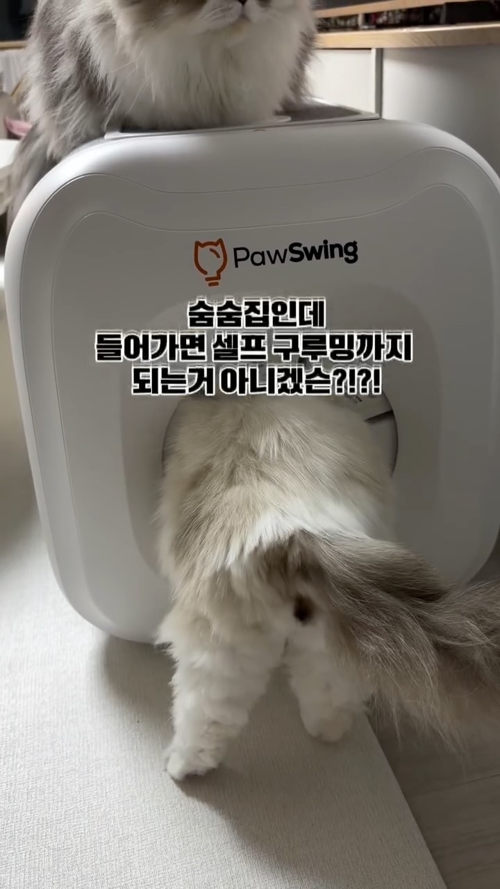 @galbabfamily_ 인스타그램 후기