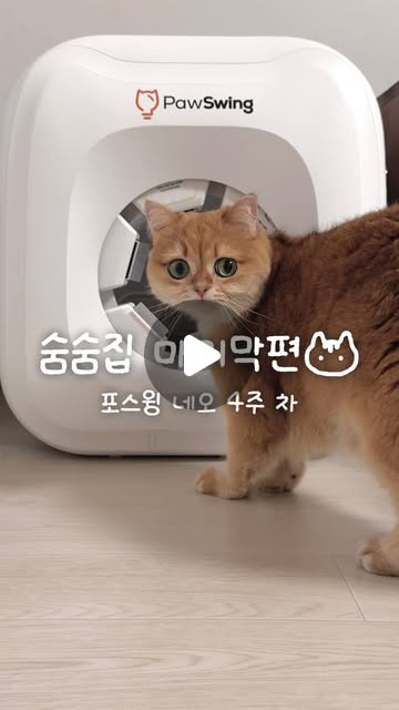 @chal.tteok.e 인스타그램 후기