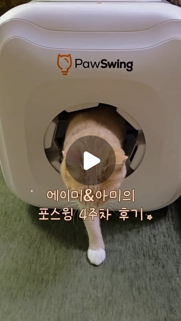 @daydream0609 인스타그램 후기
