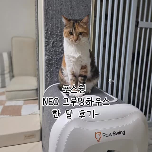 @blisshe_seolhwa 인스타그램 후기