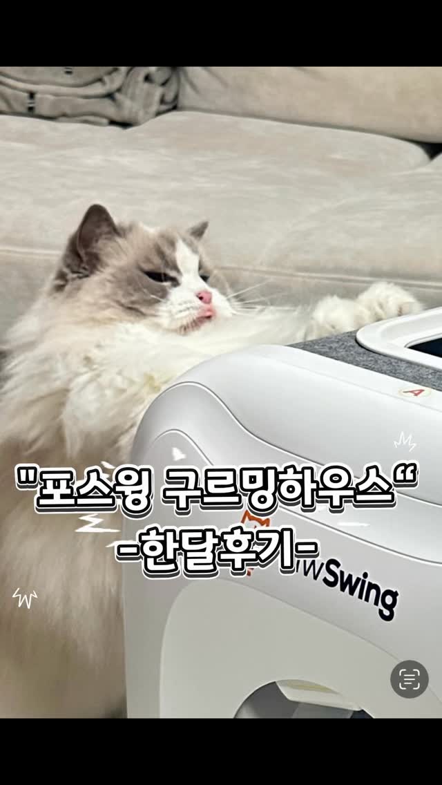 @mignon_bonbon_lovely 인스타그램 후기