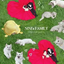 @nini.__.meow 인스타그램 후기