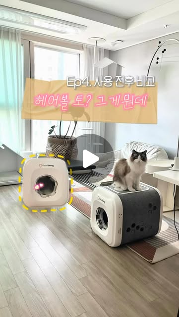 @tollcino 인스타그램 후기