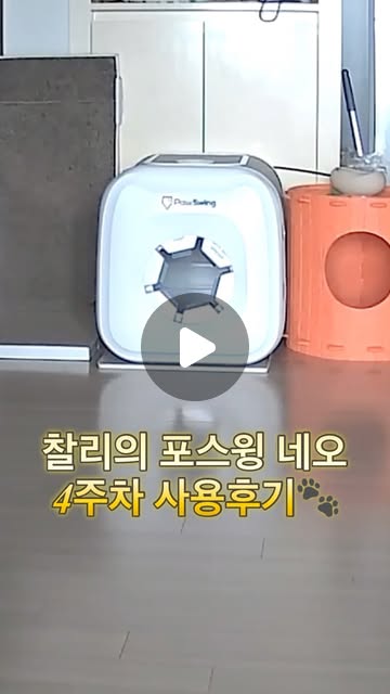 @charliemiyao 인스타그램 후기
