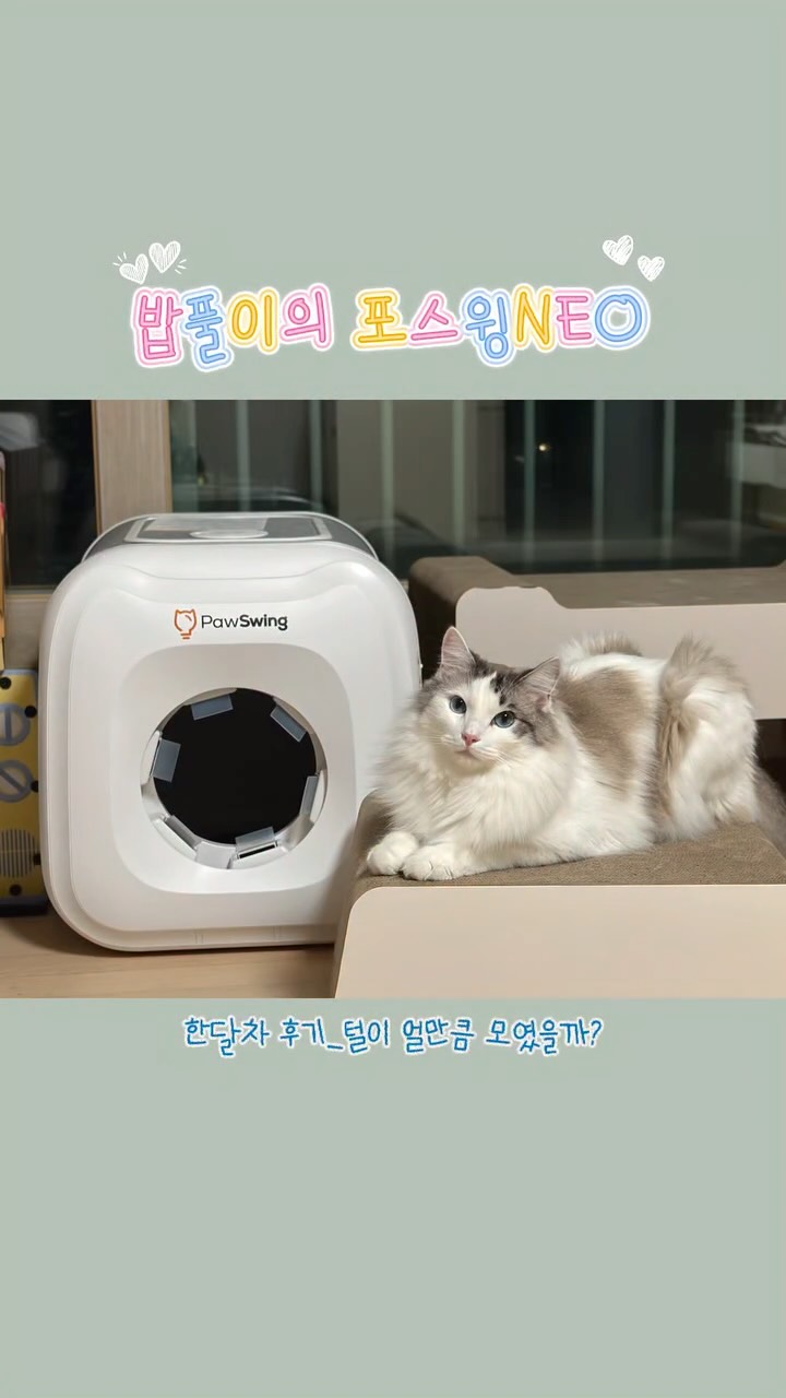 @babpul0801 인스타그램 후기