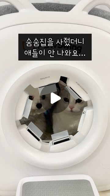 집사님들 이것은 그냥 숨숨집이 아닙니다!